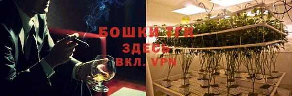PSILOCYBIN Магас