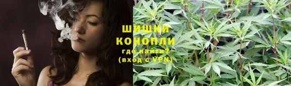 PSILOCYBIN Магас