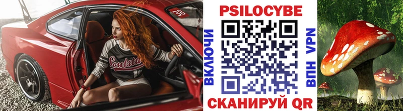 Галлюциногенные грибы Psilocybine cubensis  Белгород 