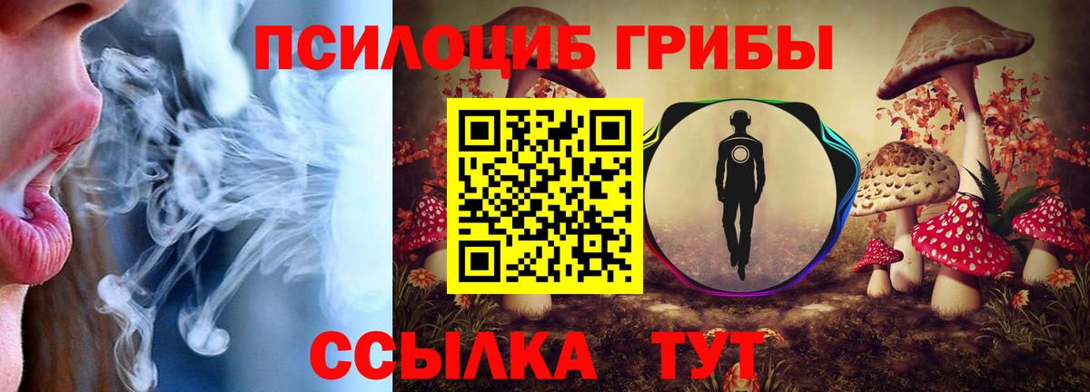 Галлюциногенные грибы мухоморы Белгород