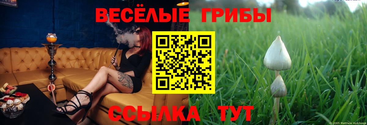 сколько стоит  Галлюциногенные грибы MAGIC MUSHROOMS  Вход с VPN  Белгород 