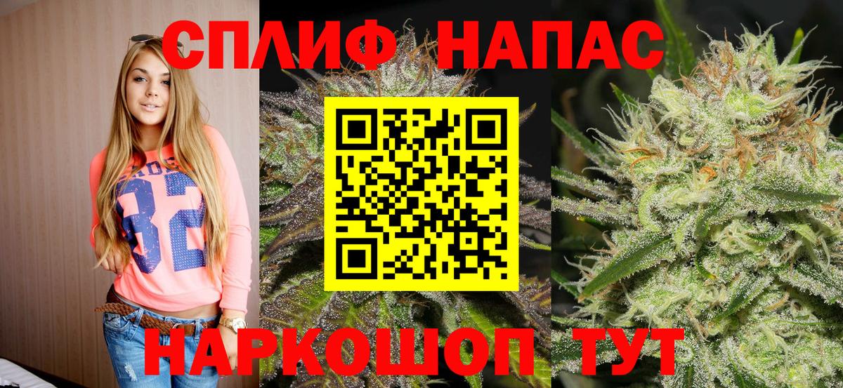 Бошки Шишки Amnesia Белгород